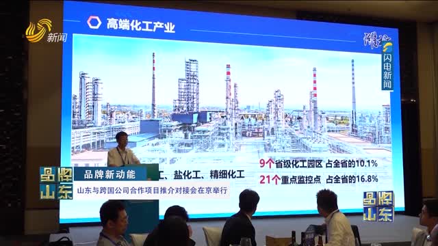 【品牌新动能】山东与跨国公司合作项目推介对接会在京举行