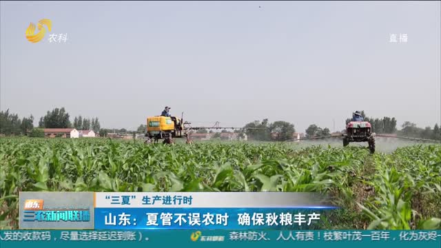 【“三夏”生产进行时】山东：夏管不误农时 确保秋粮丰产