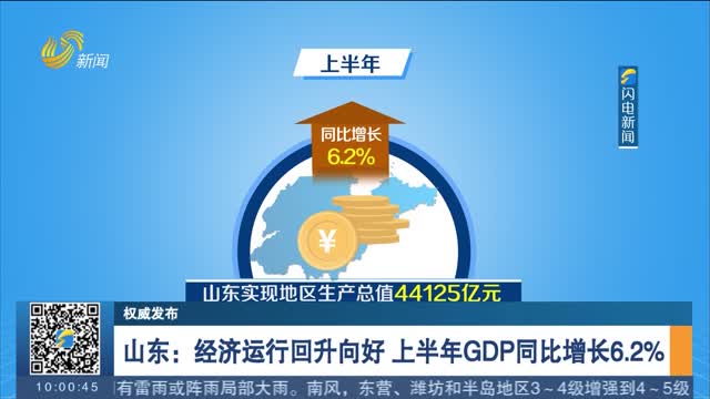 【权威发布】山东：经济运行回升向好 上半年GDP同比增长6.2%