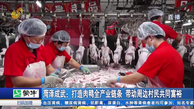 菏泽成武：打造肉鸭全产业链条 带动周边村民共同富裕