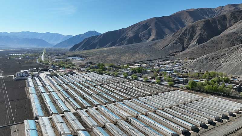 濟南援藏：打造鄉村振興“白朗樣板”
