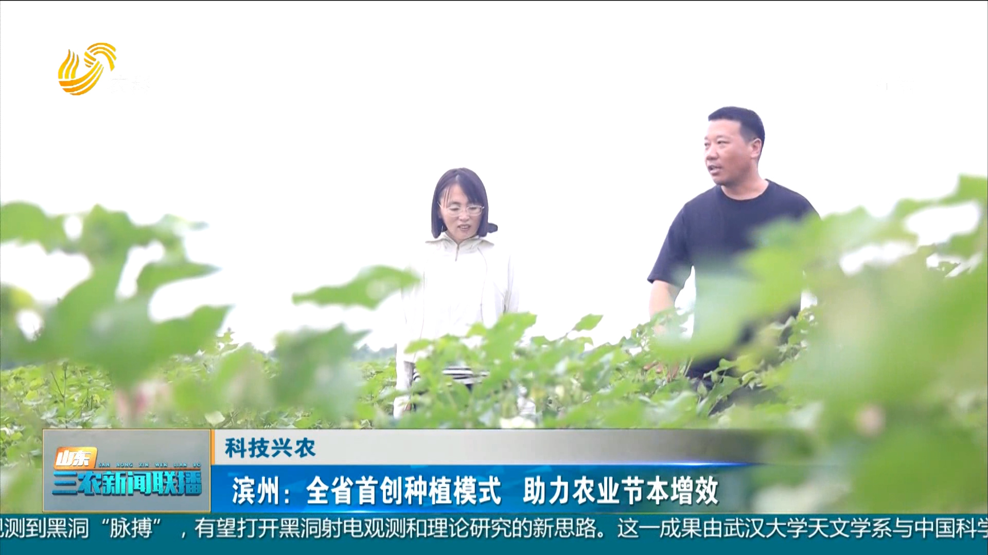 【科技兴农】滨州：全省首创种植模式 助力农业节本增效