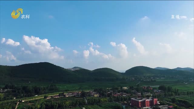新泰 枣庄等地“云山”景观