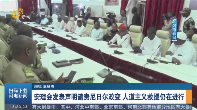 安理会发表声明谴责尼日尔政变 人道主义救援仍在进行