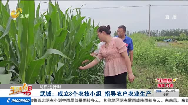 【防汛进行时】武城：成立8个农技小组 指导农户农业生产
