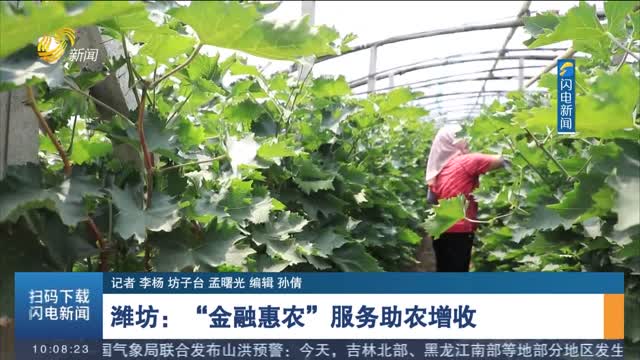 【打造乡村振兴齐鲁样板】潍坊：“金融惠农”服务助农增收