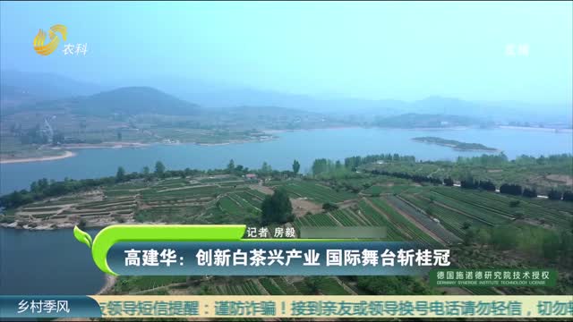 高建華：創新白茶興產業 國際舞臺斬桂冠