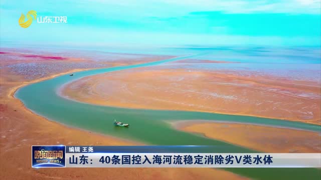 山東：40條國控入海河流穩定消除劣V類水體