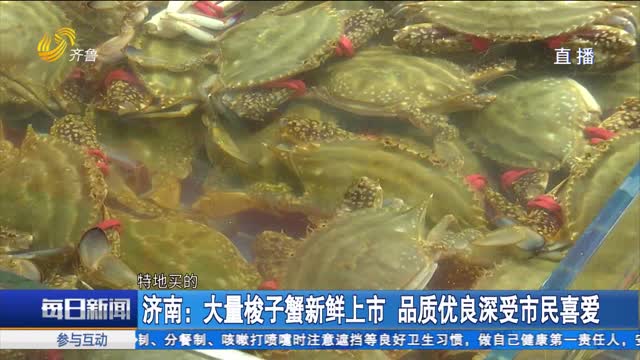济南：大量梭子蟹新鲜上市 品质优良深受市民喜爱