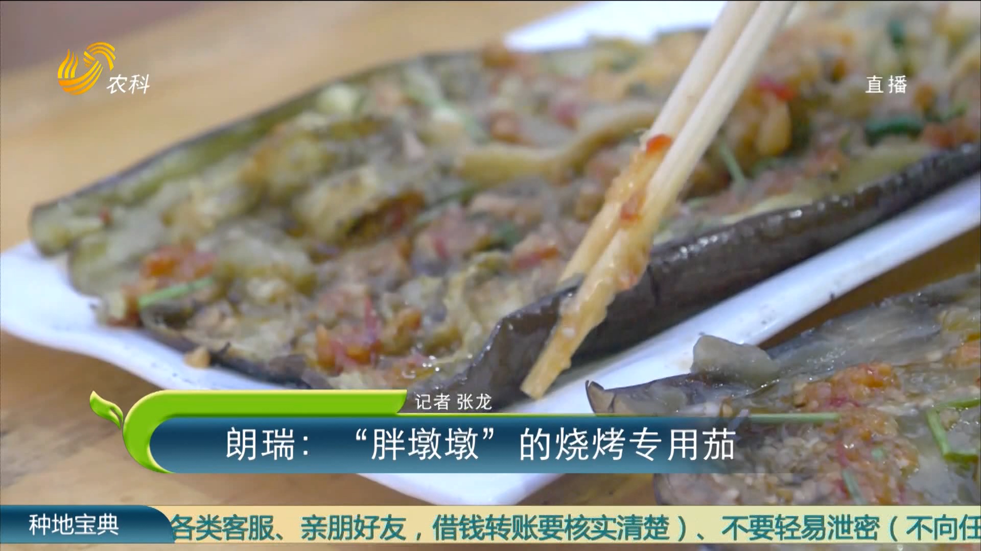 朗瑞：“胖墩墩”的燒烤專用茄