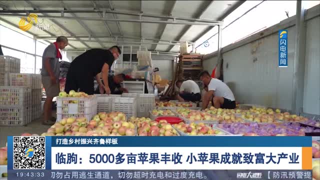 【打造鄉村振興齊魯樣板】臨朐：5000多畝蘋果豐收 小蘋果成就致富大產業