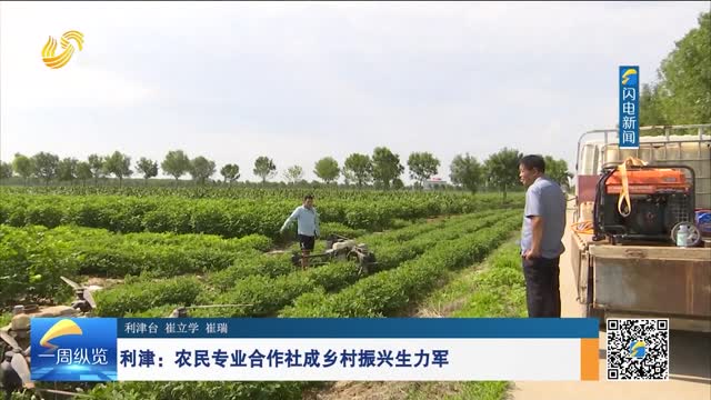 利津：农民专业合作社成乡村振兴生力军