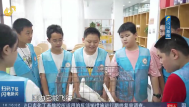 【关注暑假生活】东营：“家鸽侦探团” 探索大自然和谐之魅力