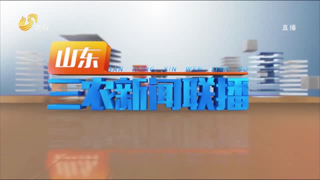 2023年08月31日山东三农新闻联播完整版