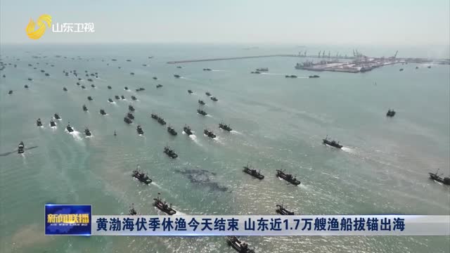 黄渤海伏季休渔今天结束 山东近1.7万艘渔船拔锚出海