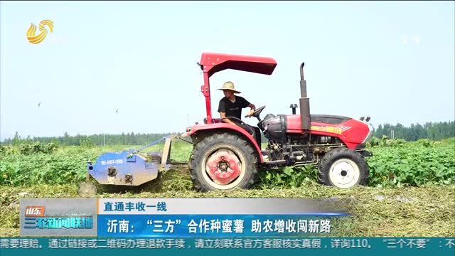 【直通丰收一线】沂南：“三方”合作种蜜薯 助农增收闯新路