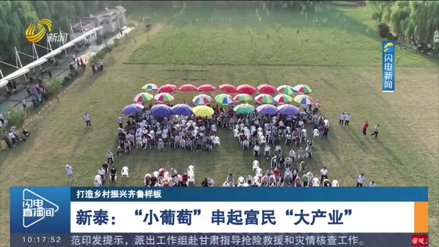 【打造乡村振兴齐鲁样板】新泰：“小葡萄”串起富民“大产业”