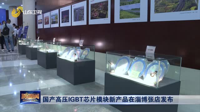 国产高压IGBT芯片模块新产品在淄博张店发布