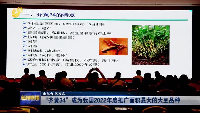 “齐黄34”成为我国2022年度推广面积最大的大豆品种