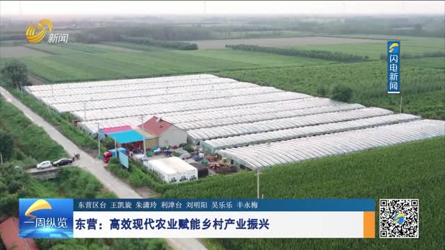 东营：高效现代农业赋能乡村产业振兴
