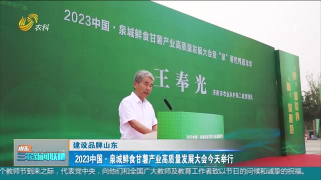 【建设品牌山东】2023中国·泉城鲜食甘薯产业高质量发展大会今天举行