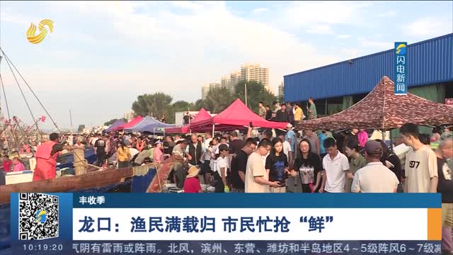 【丰收季】龙口：渔民满载归 市民忙抢“鲜”