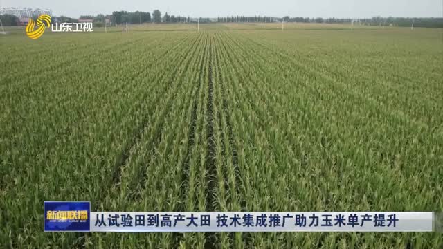 从试验田到高产大田 技术集成推广助力玉米单产提升
