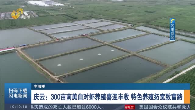 【丰收季】庆云：300亩南美白对虾养殖喜迎丰收 特色养殖拓宽致富路