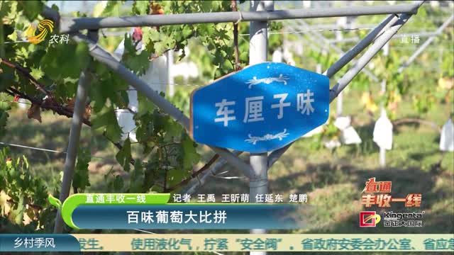 葡萄排行榜_凤凰资讯_资讯_凤凰网
