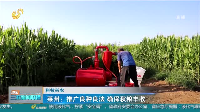 【科技兴农】莱州：推广良种良法 确保秋粮丰收