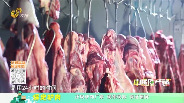 20230914《中国原产递》：保定驴肉