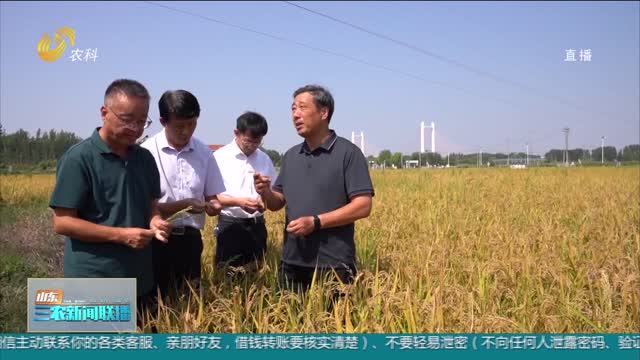 【科技兴农】水稻技术现场培训 推动水稻产业高质量发展