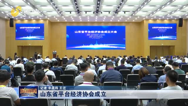 山东省平台经济协会成立