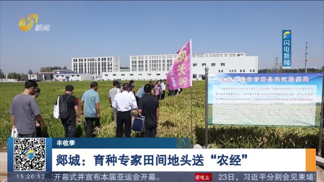 【丰收季】郯城：育种专家田间地头送“农经”