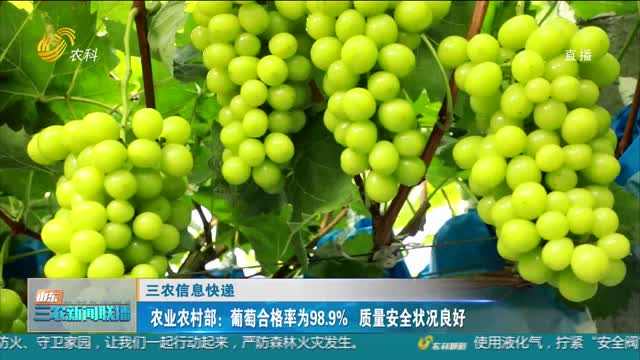 【三农信息快递】农业农村部：葡萄合格率为98.9% 质量安全状况良好