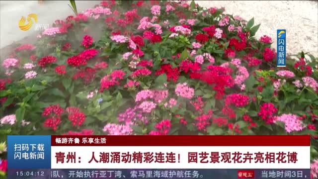 【畅游齐鲁 乐享生活】青州：人潮涌动精彩连连！园艺景观花卉亮相花博