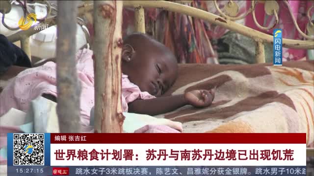 世界粮食计划署：苏丹与南苏丹边境已出现饥荒