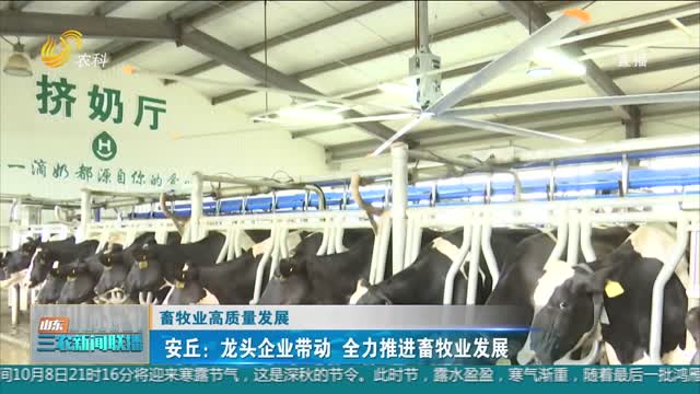 【畜牧业高质量发展】安丘：龙头企业带动 全力推进畜牧业发展