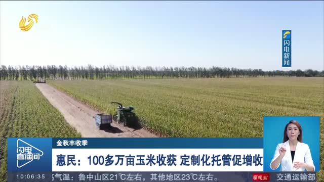 【金秋丰收季】惠民：100多万亩玉米收获 定制化托管促增收