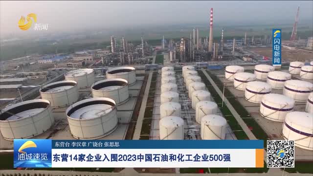 东营14家企业入围2023中国石油和化工企业500强