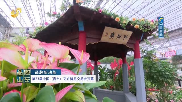 【品牌新动能】第23届中国（青州）花卉博览交易会开幕