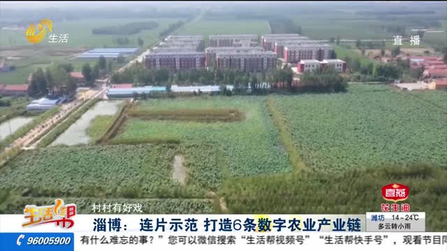 【村村有好戏】淄博：连片示范 打造6条数字农业产业链