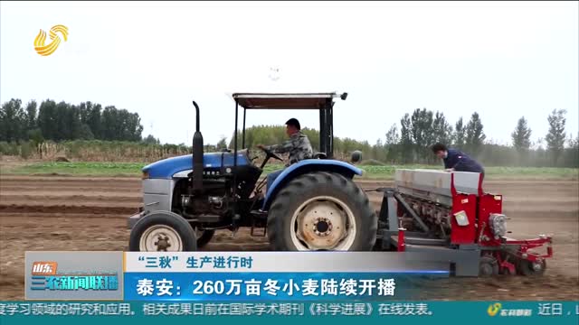 【“三秋”生产进行时】泰安：260万亩冬小麦陆续开播