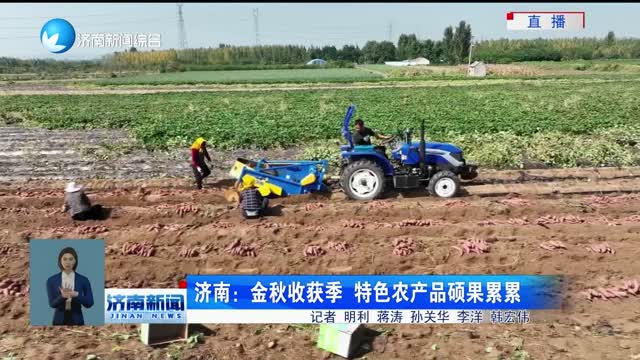 济南：金秋收获季 特色农产品硕果累累