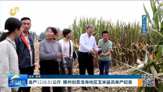 亩产1218.81公斤 滕州创黄淮海地区玉米最高单产纪录