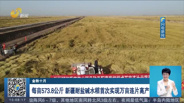 【金秋十月】每亩573.8公斤 新疆耐盐碱水稻首次实现万亩连片高产