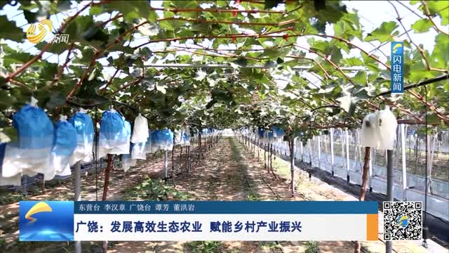 广饶：发展高效生态农业 赋能乡村产业振兴