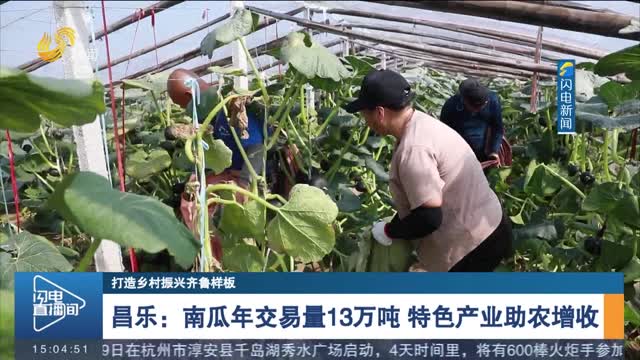 【打造乡村振兴齐鲁样板】昌乐：南瓜年交易量13万吨 特色产业助农增收
