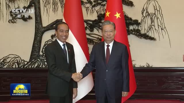 赵乐际会见印度尼西亚总统