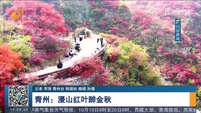 青州：漫山红叶醉金秋